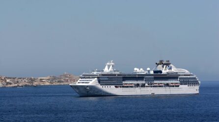 Top Cruise Liners Offering Luxury and Comfort at Sea