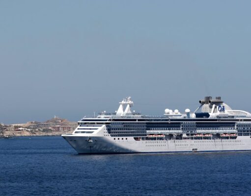 Top Cruise Liners Offering Luxury and Comfort at Sea