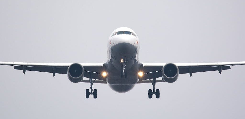 How to Find the Best Cruise Deals with Airfare Included