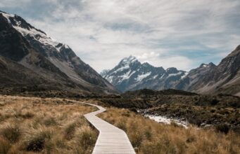 Top Cruise Destinations to Explore This Year