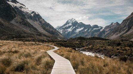 Top Cruise Destinations to Explore This Year