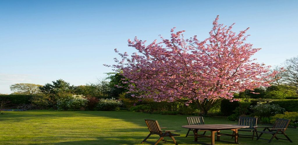 Easy Tips for Outdoor Maintenance All Year Round