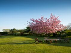 Easy Tips for Outdoor Maintenance All Year Round