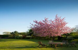 Easy Tips for Outdoor Maintenance All Year Round